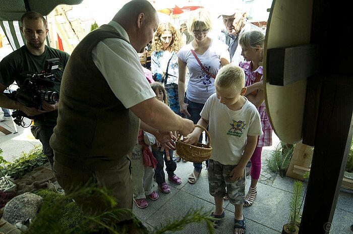  IMG7741