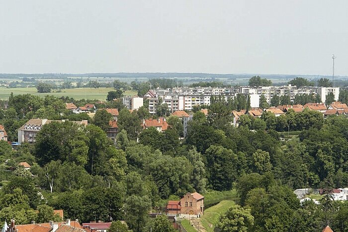 Image00058