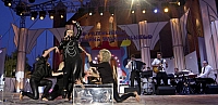  IMG4548