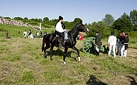  IMG9994