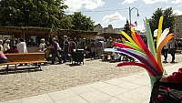  IMG0962
