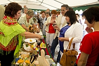  IMG9491