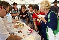  IMG9499
