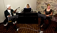 IMG4513