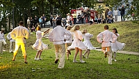  IMG4981