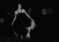  IMG8445