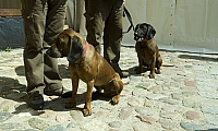  IMG7791