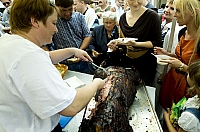  IMG8059