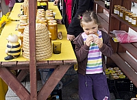  IMG0308
