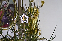 MAJO2248 kopia