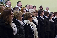 MAJO2685 kopia