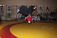  FOT9621