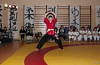  FOT9663