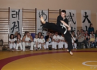  FOT9694
