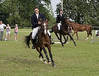  IMG2864