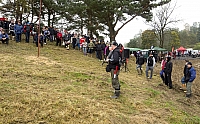 IMG1951