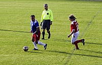  IMG3866