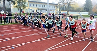  IMG3567