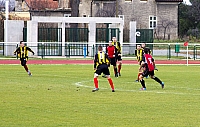  IMG0239