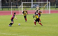  IMG0245