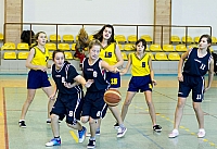  IMG0951