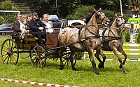  IMG4457