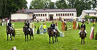  IMG4626