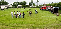  IMG4673