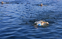  IMG1429