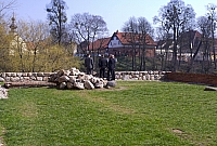 MAJO9456 kopia
